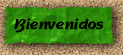 bienvenidos.gif (6597 bytes)